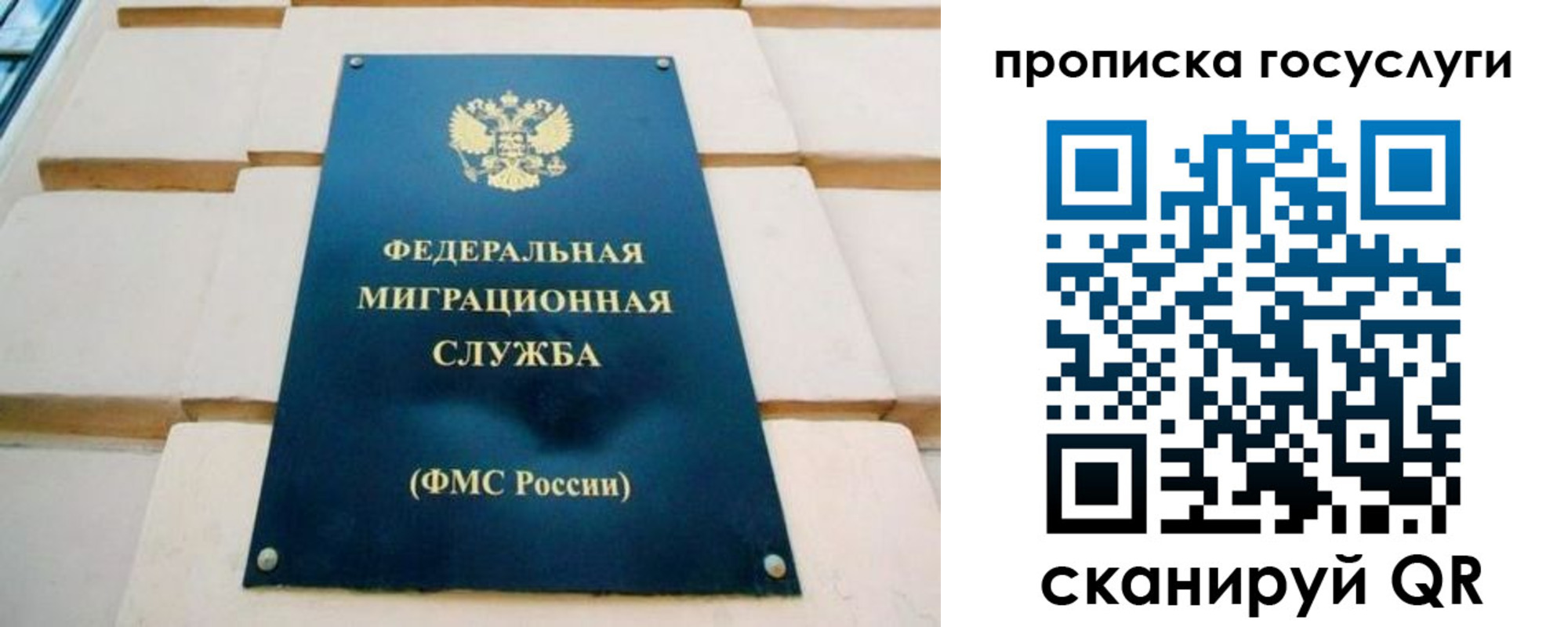 прописка поиск в Ноябрьске